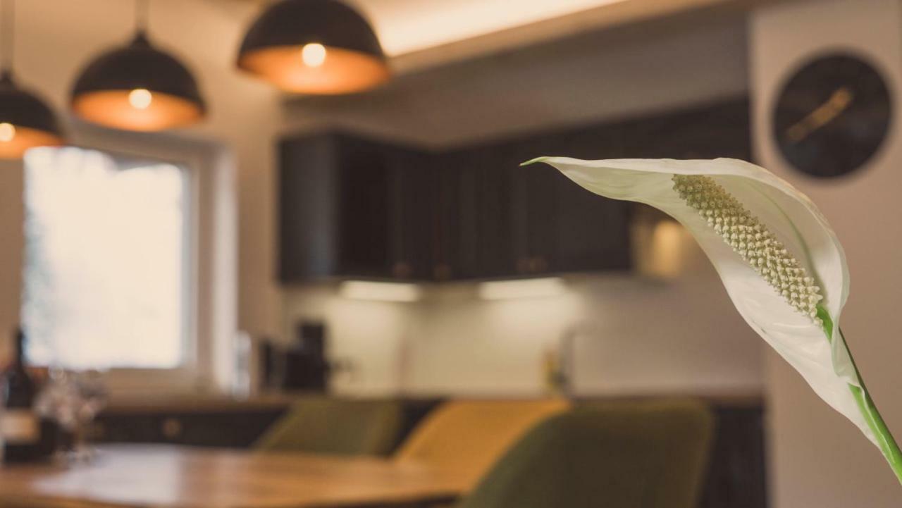 Apartment Ninetyfour Annaberg im Lammertal Kültér fotó